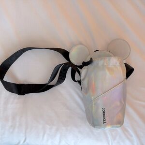 Corkcicle Mickey water bottle bag.